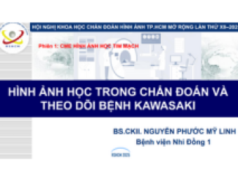 BS Nguyễn Phước Mỹ Linh 