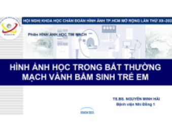 BS Nguyễn Minh Hải - HÌNH ẢNH HỌC BT MẠCH VÀNH
